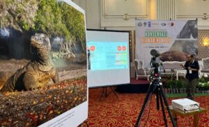 Perlindungan Satwa Menguat: Konservasi Komodo dan Koordinasi Lintas Negara Jadi Sorotan